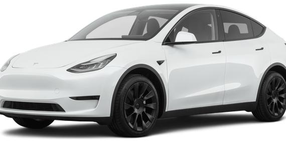 TESLA MODEL Y 2021 5YJYGDEE8MF218303 image